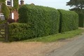 Attention-to-detail Hedge Cutting